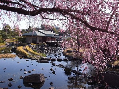 ⛩️ 백조 신사(시로토리 진자) 이미지 2